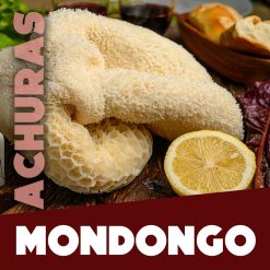 Mondongo