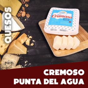 Queso Cremoso Punta del Agua